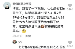 娱乐吃瓜君流量,揭秘流量背后的秘密与真相