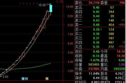 恒立实业股票,揭秘股票背后的投资价值与市场动态