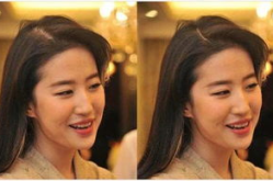 娱乐圈吃瓜爽文一口气看完,一网打尽明星秘闻，爽文盛宴等你翻牌