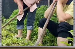 娱乐八卦吃瓜群众的,揭秘吃瓜群众的八卦盛宴