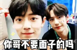娱乐吃瓜酱哥哥和弟弟在线观看,哥哥弟弟在线观看，欢乐时光共享