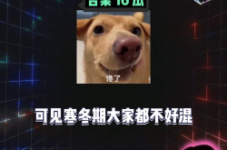 娱乐八卦吃瓜配图,吃瓜群众眼中的明星幕后故事