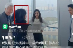 吃瓜娱乐圈陶虹视频,揭秘明星幕后故事