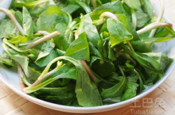 马兰头的做法,春季野菜的美味制作指南