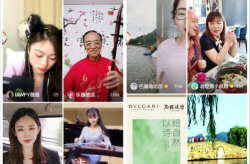 娱乐圈吃瓜冰雨直播视频,一场吃瓜盛宴