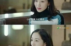 两位吃瓜教授娱乐圈小说,两位教授的娱乐圈奇幻之旅