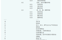 国民经济行业分类包括哪些类别_四大是三资企业吗