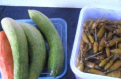 泡椒娱乐会长吃瓜,揭秘娱乐圈背后的“吃瓜”风云